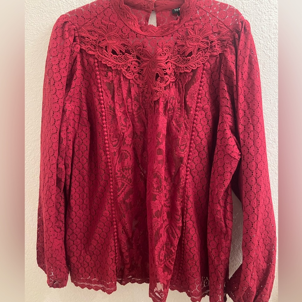 NWT Brick red Torrid size 3 long sleeve lace top